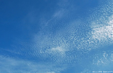 Cirrocumulus undulatus - 20 septembre 2005 - Mini